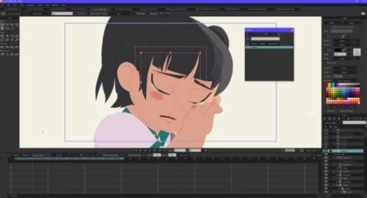 What do anime animators use?