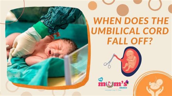 What do I do after my baby's umbilical cord falls off?
