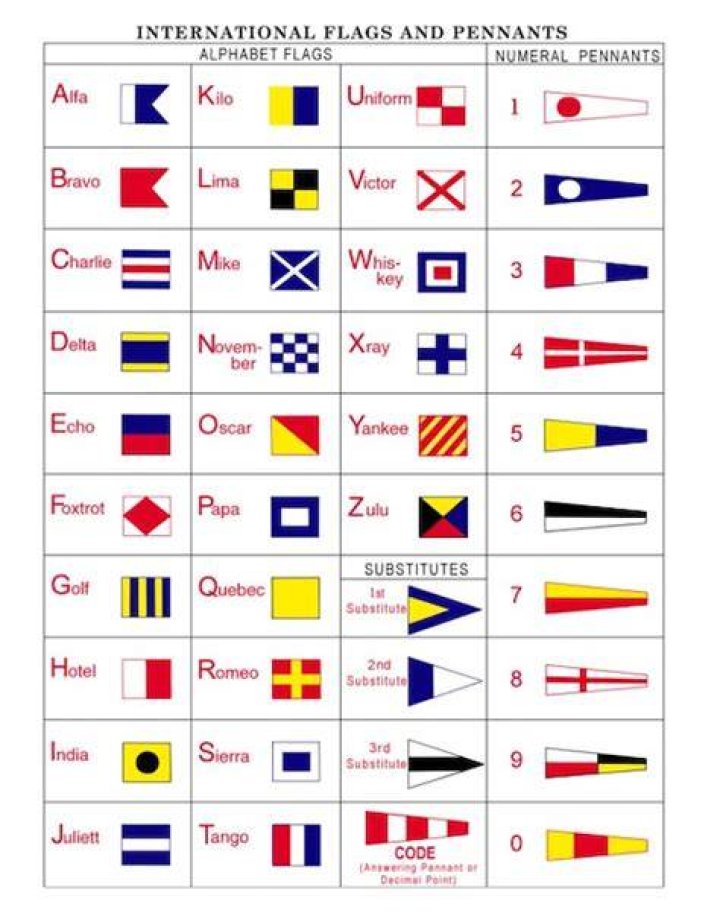 What does a blue flag on a ship mean?