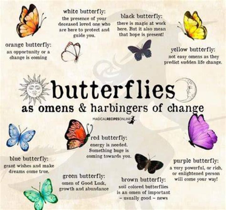 What does a sword through a butterfly mean?