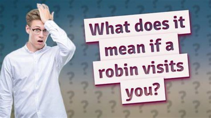 What does it mean when a red robin visits you?