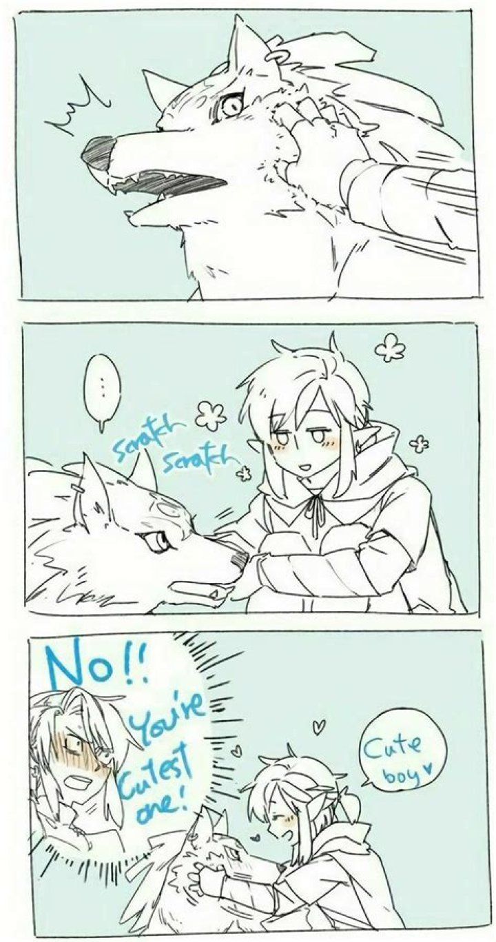 What does Wolf Link do Botw?