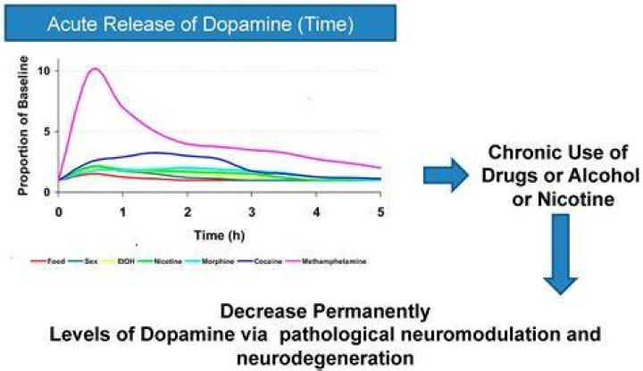 What drug increases dopamine?
