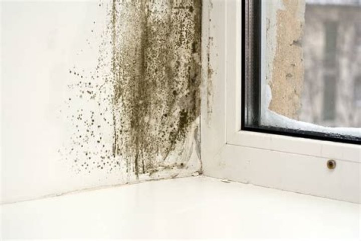 What happens when water gets in your walls?