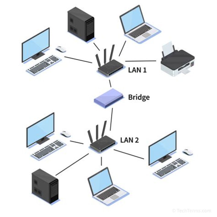 What is a bridge network device?