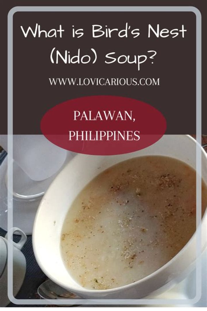 What is bird's nest soup made of?