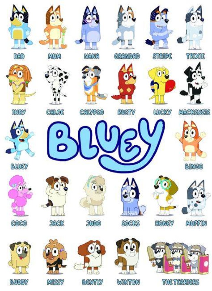 What is Bluey's full name?