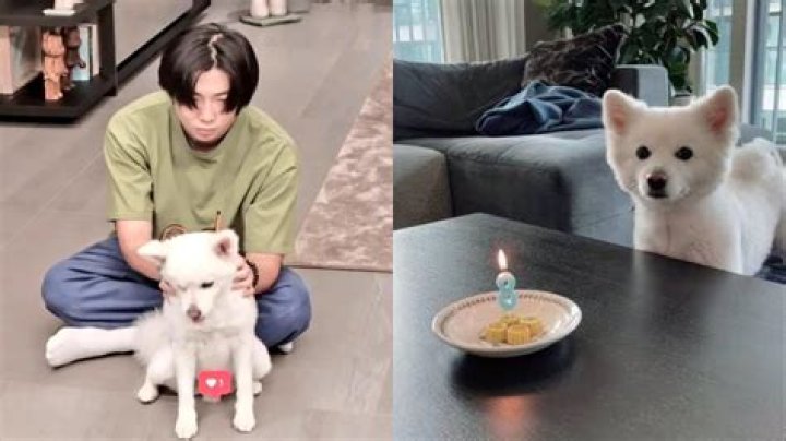 What is Namjoon's dog name?