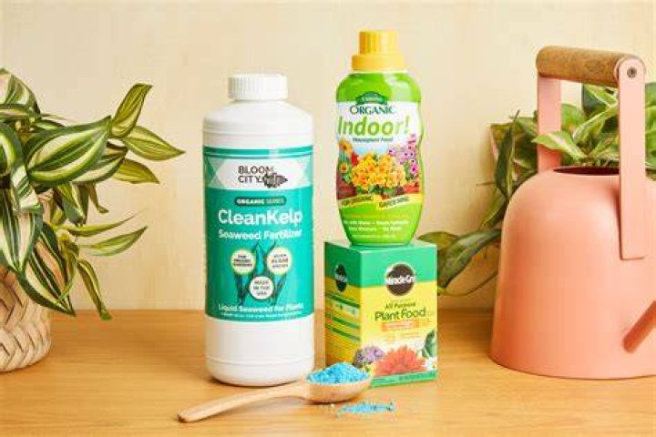 What is the best fertilizer for flowering plants?