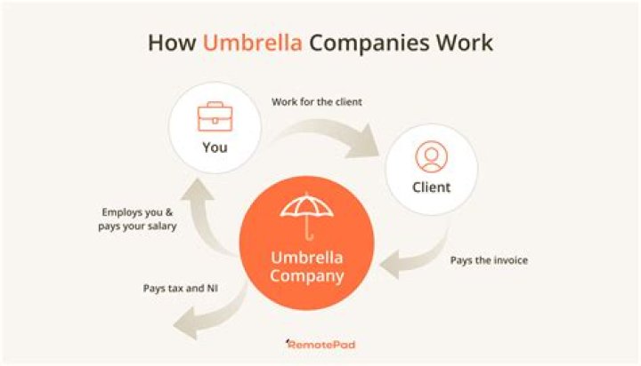What is the biggest umbrella company?