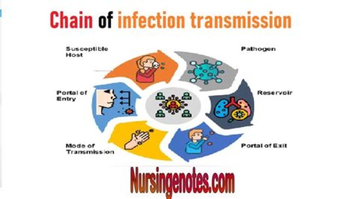 What is the final link in the chain of infection?