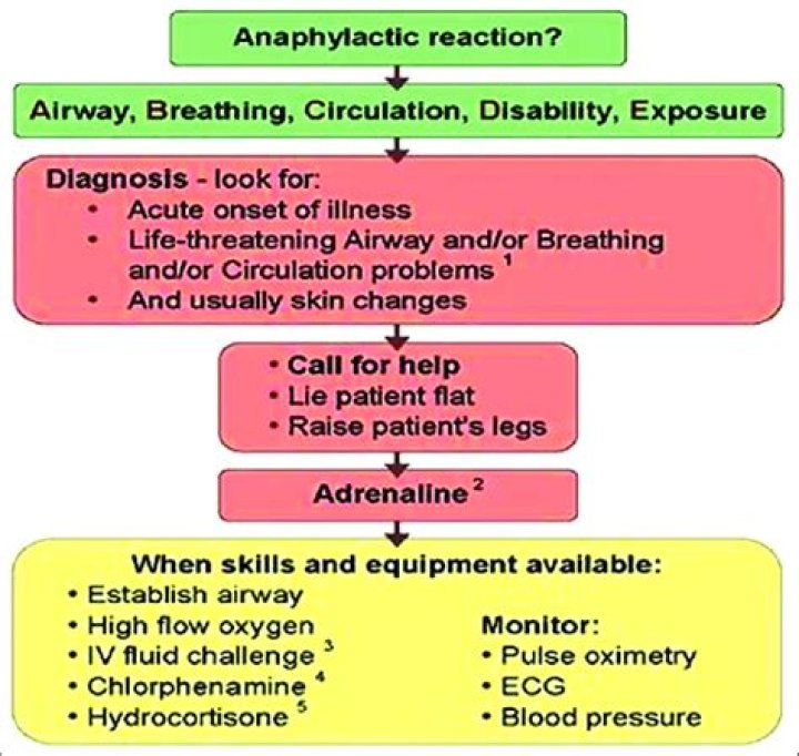 What is the general first aid treatment for an anaphylactic shock?