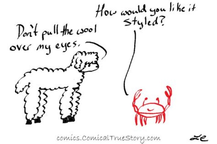 What is the meaning of put wool over other people's eyes?