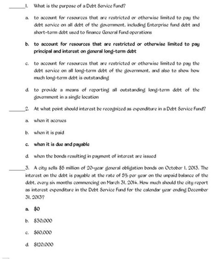 What is the purpose of a debt service fund?