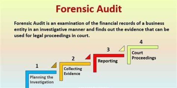 What is the steps of forensic audit?