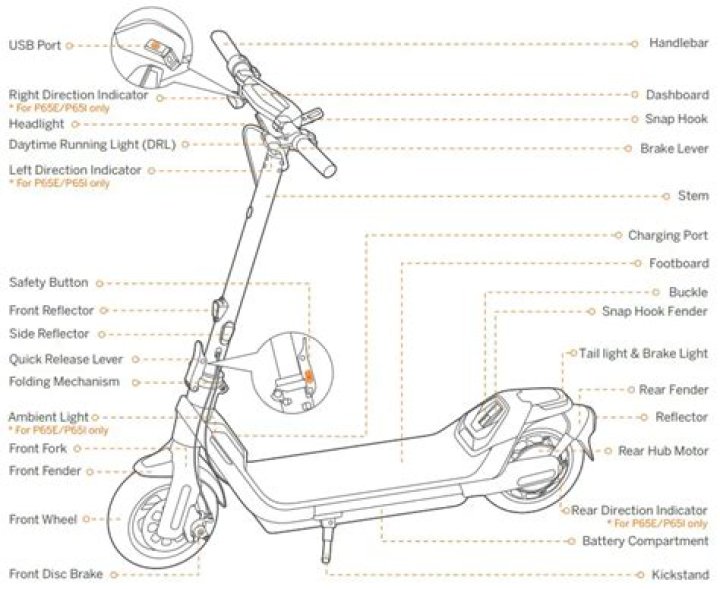 What is the warranty on a Segway scooter?