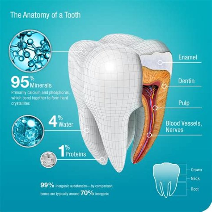 What is tooth enamel?