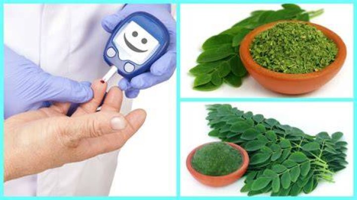 What kind of disease can moringa cure?