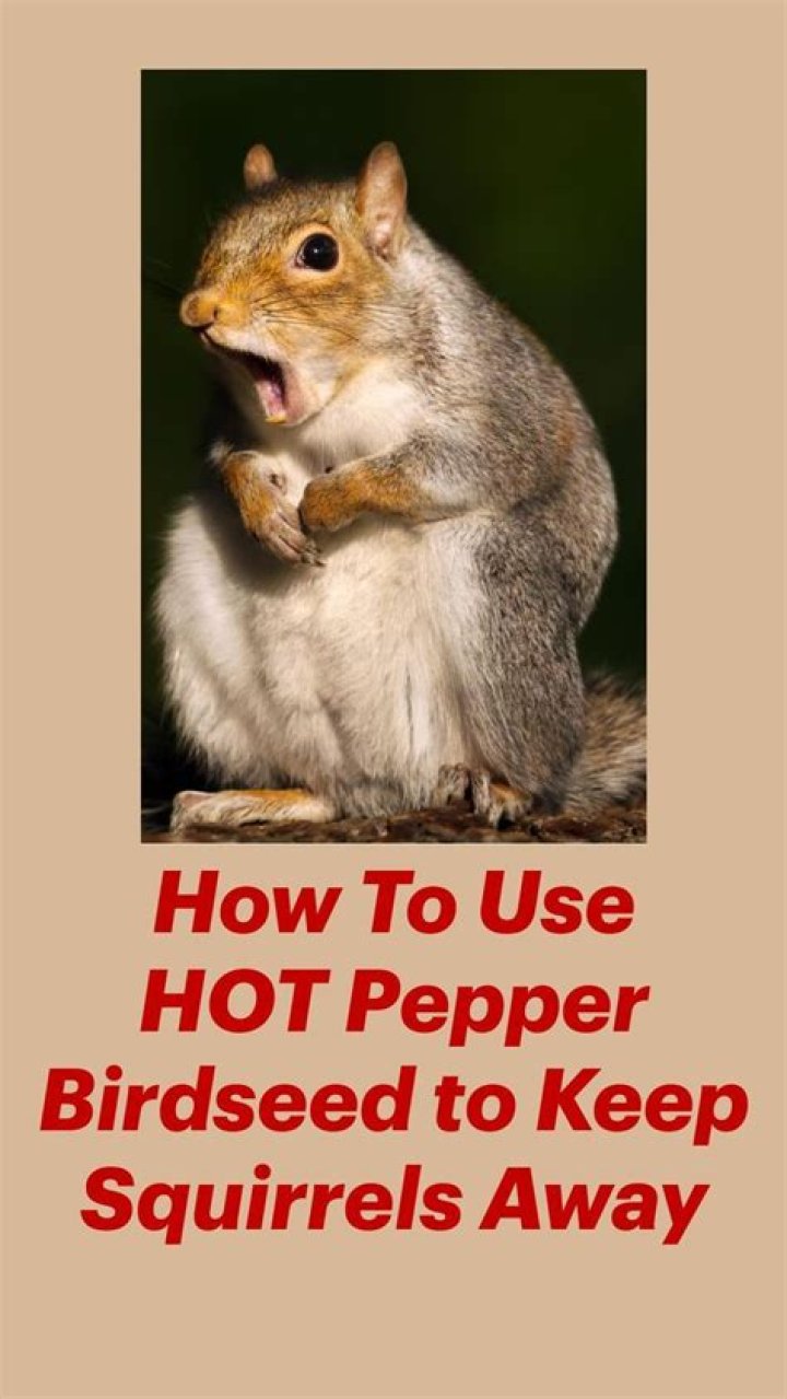 What kind of pepper keeps squirrels away?
