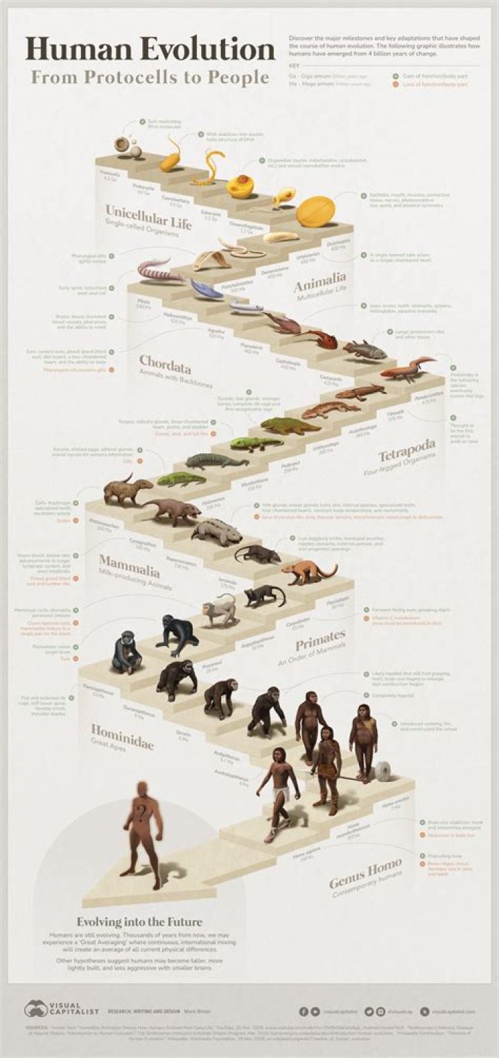 What species did humans interbreed with?