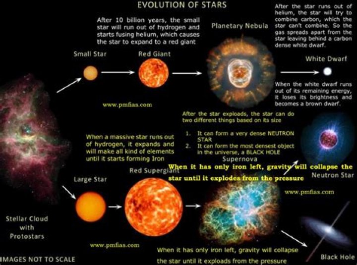 What was the first star created?