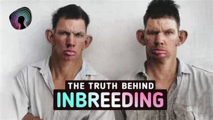 When did humans stop inbreeding?