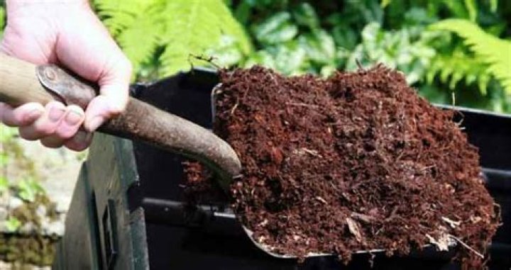 When should I add manure to my garden?