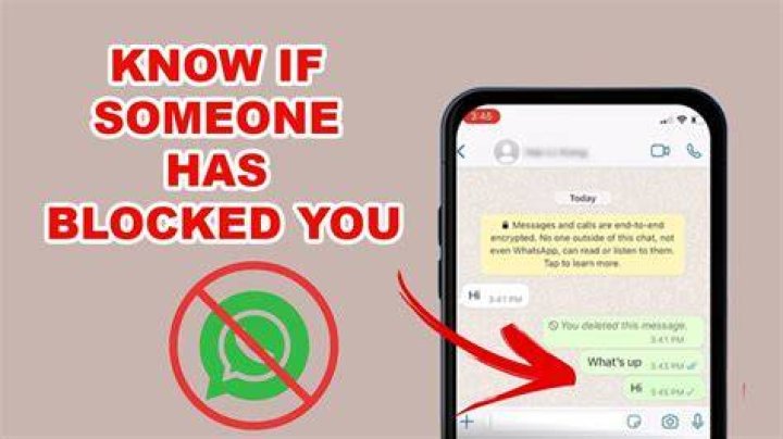 When you block someone on WhatsApp can they see your messages?