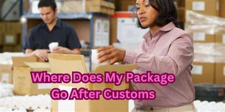 Where does my package go after clearing customs?