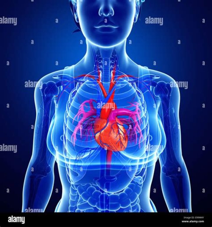 Where is your heart located on a woman?