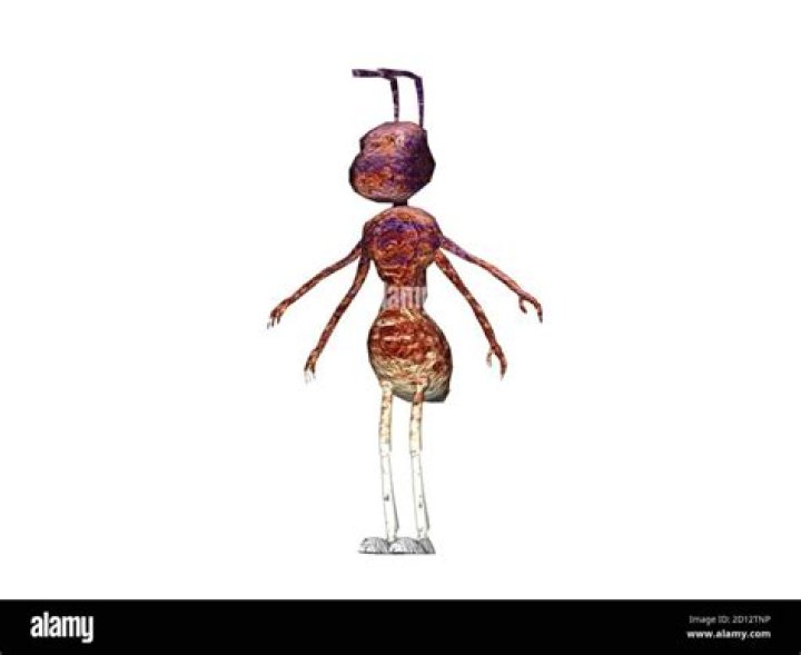 Which ant has two legs?