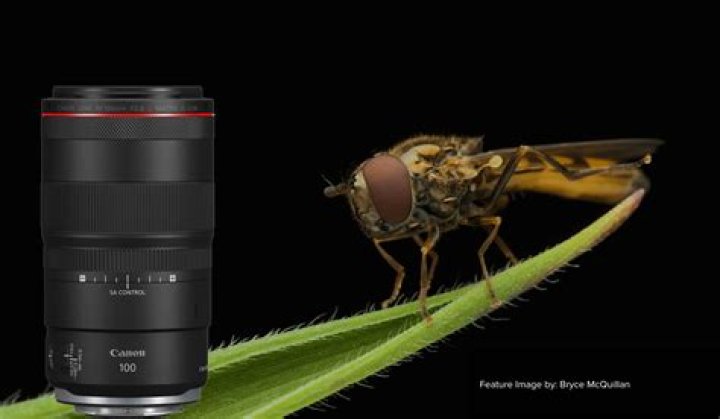 Which Canon camera is best for macro photography?