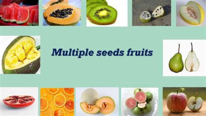 Which fruit has many seeds?