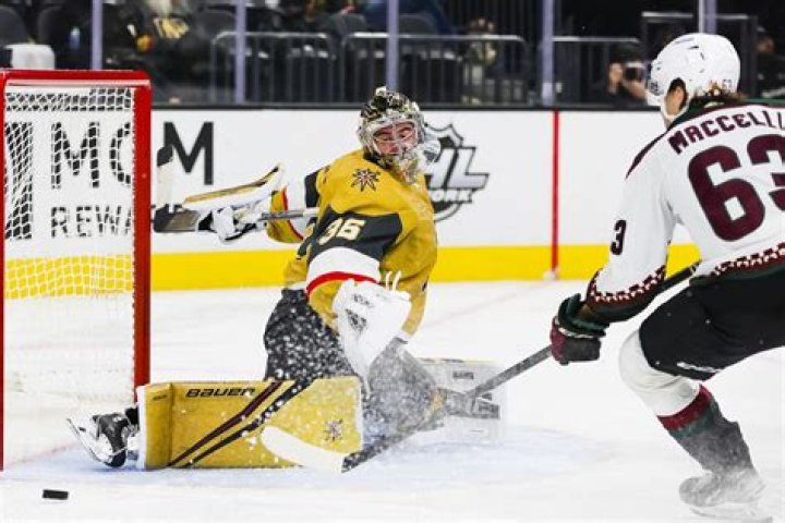 Who is Golden Knight goalie?