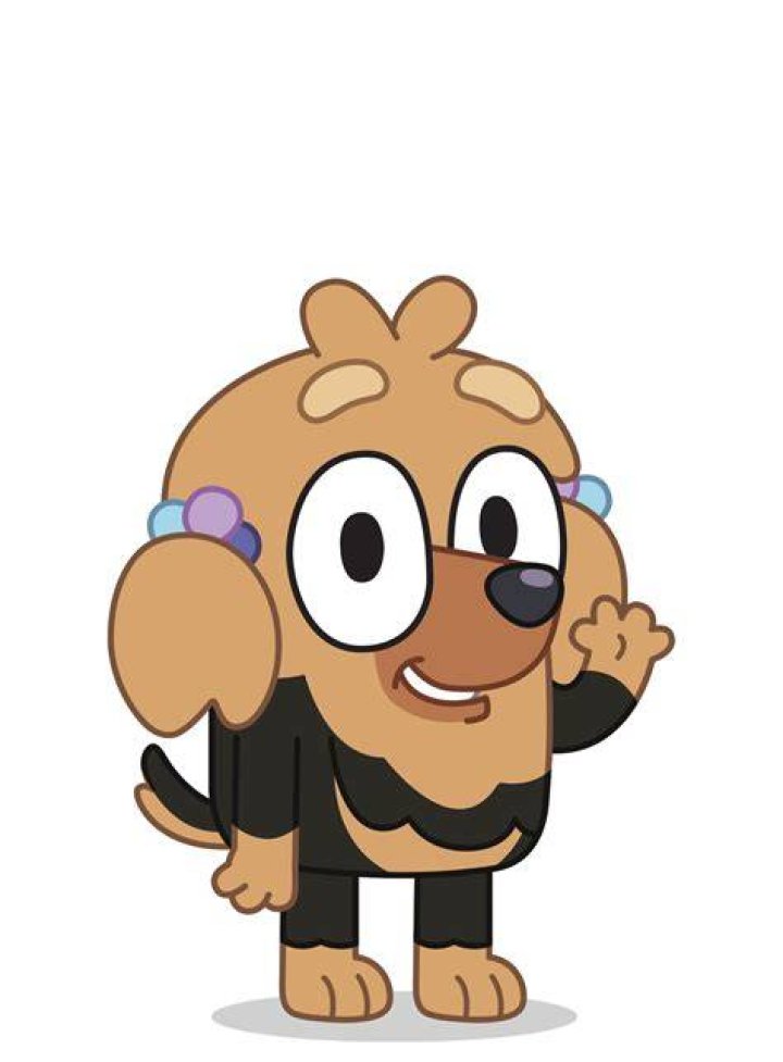 Who is Missy in Bluey?