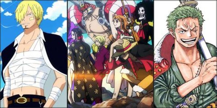 Who is the weakest member of the Straw Hat Pirates?