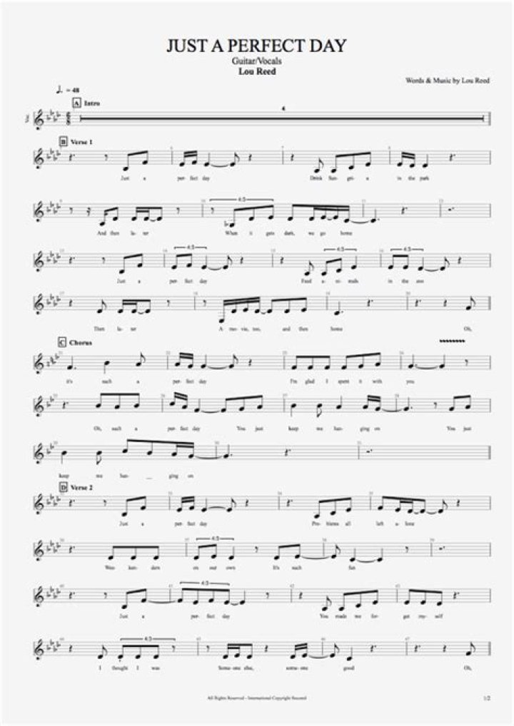 Who wrote just a perfect day?