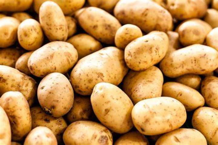Why are frozen potatoes out of stock?