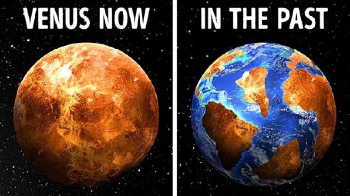 Why did Venus lose to Vicario?