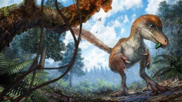 Why dinosaurs died but not other animals?