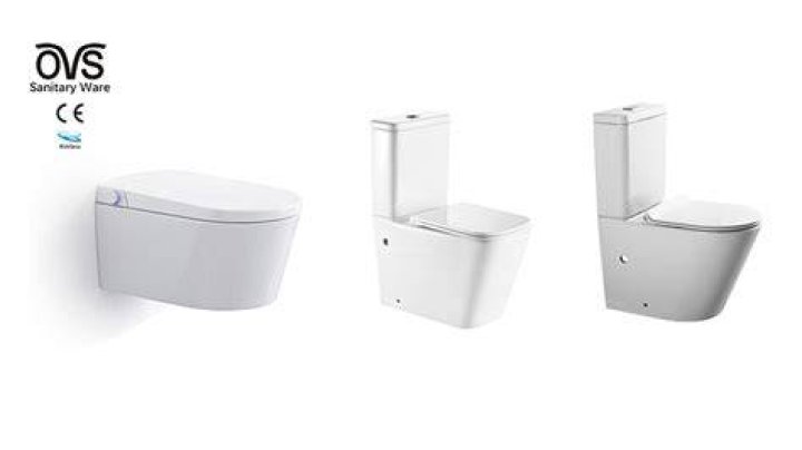Why does Europe have two toilets?