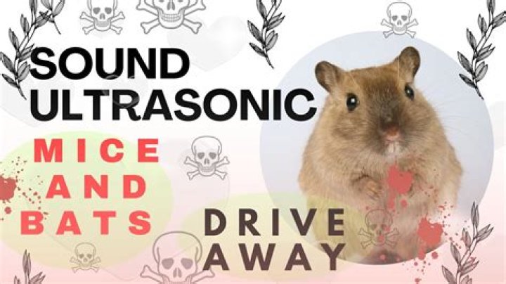 Will loud music scare mice?