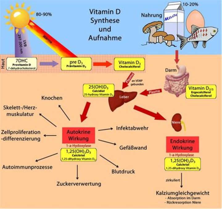 Wird Vitamin D durch Fenster?
